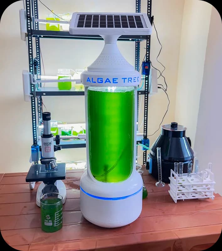 Close view of an operating AlgaeTree device on display