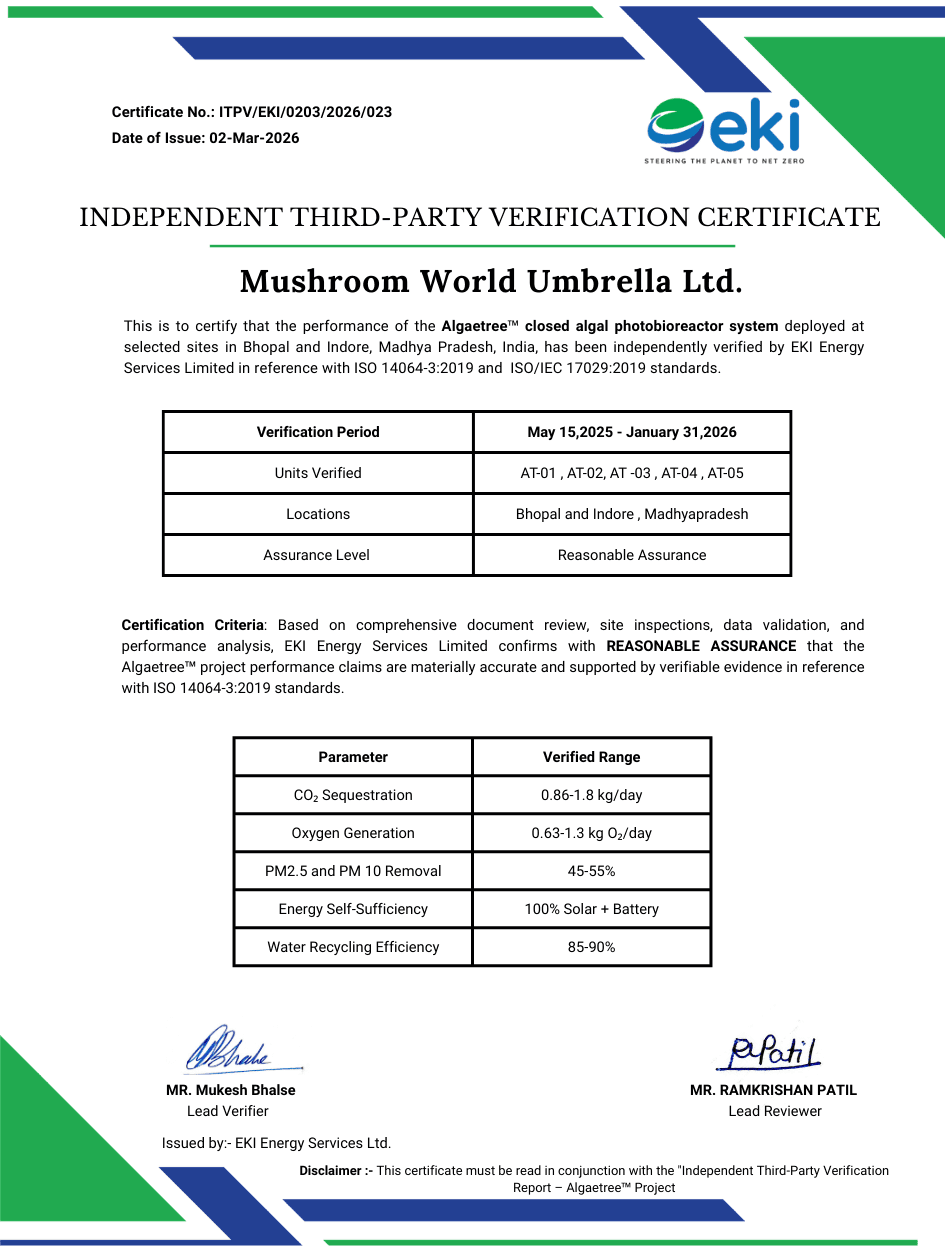 Mushroom World Certificate